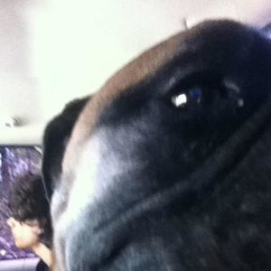 Meet your Posher, Michael